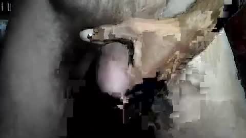 taylor3made online show from 22, 2, 2026