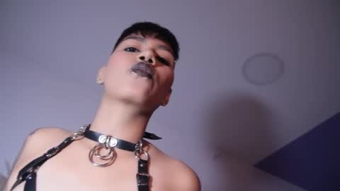 Taylor online show from 5, 11, 2025