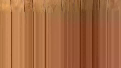 Snapshot of tcelpighurjt chatting on 10, 6, 2026 tcelpighurjt online show from 10, 6, 2026