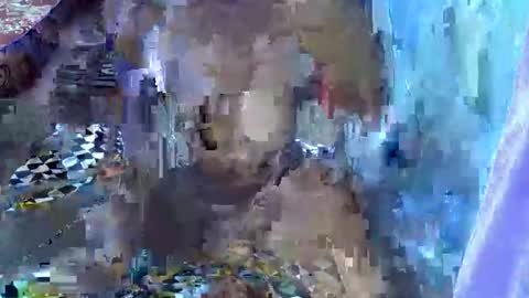 teabody1 online show from 23, 3, 2026