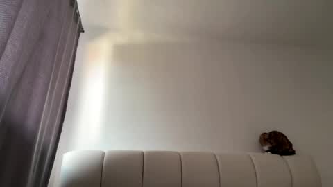 Amy No penetration Virgiin giirl online show from 10, 4, 2026