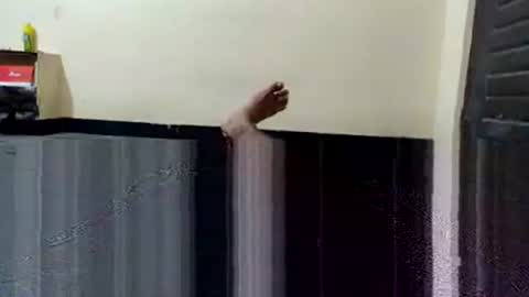 Snapshot of telugu_dick_hyd chatting on 4, 11, 2025 telugu_dick_hyd online show from 4, 11, 2025