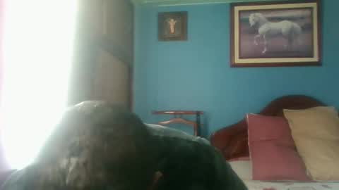 Snapshot of tender_eldelatienda chatting on 3, 1, 2025 Fabio Canavaro online show from 3, 1, 2025