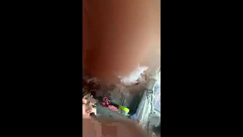 Snapshot of teslajustdoit chatting on 3, 3, 2026 teslajustdoit online show from 3, 3, 2026