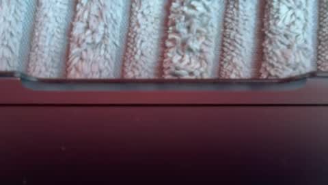 Snapshot of tetebumbum chatting on 3, 8, 2026 tetebumbum online show from 3, 8, 2026