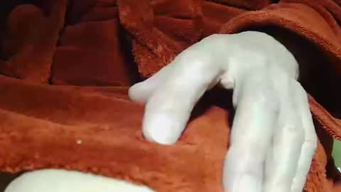 Snapshot of tetuo2 chatting on 14, 10, 2025 tetuo2 online show from 14, 10, 2025