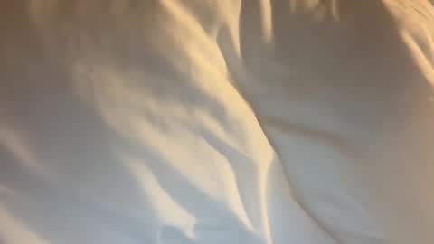 tevvdaren online show from 18, 3, 2026