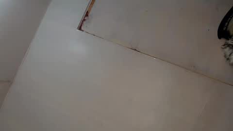 Snapshot of tgirl_luna69 chatting on 8, 3, 2025 Luna online show from 8, 3, 2025