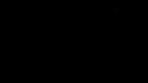 CJ online show from 2, 3, 2026