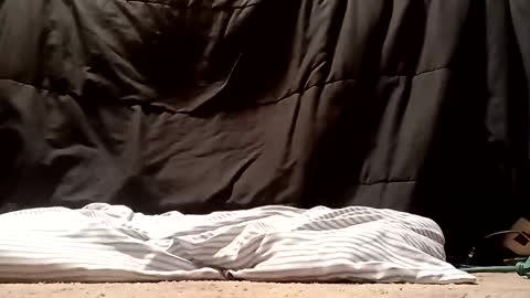 thatb1 online show from 28, 9, 2025