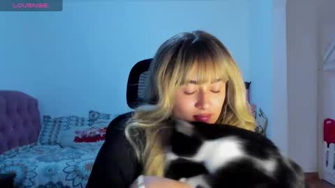   online show from 17, 12, 2024