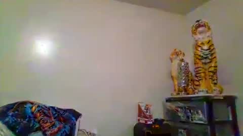 Snapshot of thatgirl4201 chatting on 15, 11, 2025 thatgirl4201 online show from 15, 11, 2025