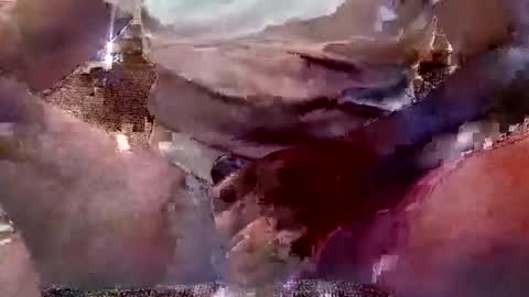 That Guy J online show from 11, 2, 2025