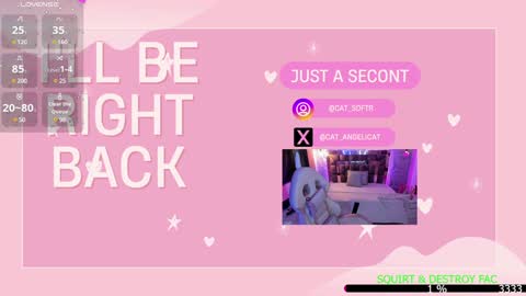 i am Cat  online show from 13, 1, 2025