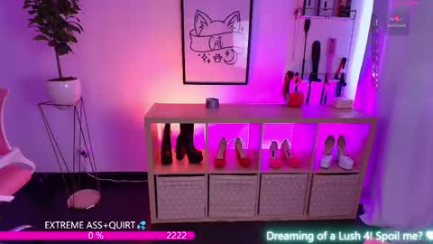 Snapshot of the_cat_girl_ chatting on 19, 5, 2026 i am Cat online show from 19, 5, 2026