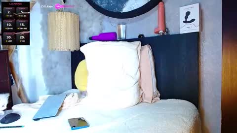 Snapshot of the_dog_lian chatting on 9, 11, 2025 the dog lian online show from 9, 11, 2025