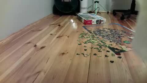 Snapshot of the_naked_pianists chatting on 19, 9, 2025 Stephan 34 Cassandra 25 online show from 19, 9, 2025