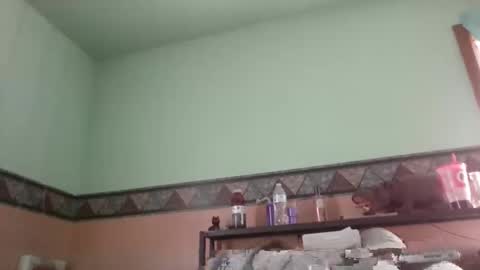 Snapshot of the_sam_ chatting on 28, 1, 2025 the_sam_ online show from 28, 1, 2025