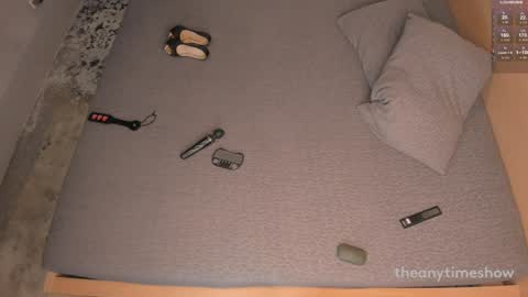 Snapshot of theanytimeshow chatting on 29, 12, 2024 Anny online show from 29, 12, 2024