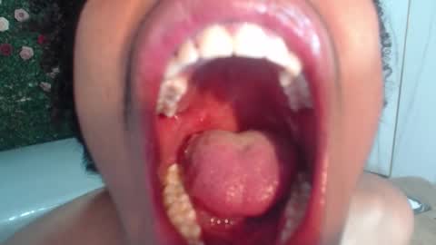 Flavor online show from 14, 3, 2026