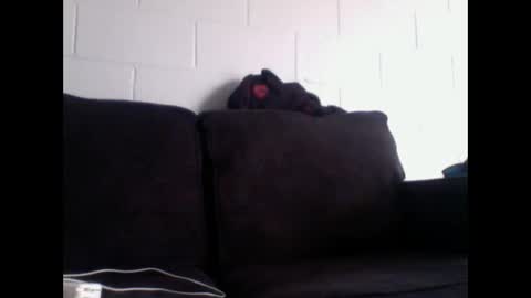 Snapshot of thee304slayer chatting on 16, 12, 2025 thee304slayer online show from 16, 12, 2025