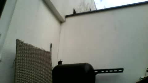 Snapshot of theforkliftman chatting on 22, 3, 2026 theforkliftman online show from 22, 3, 2026