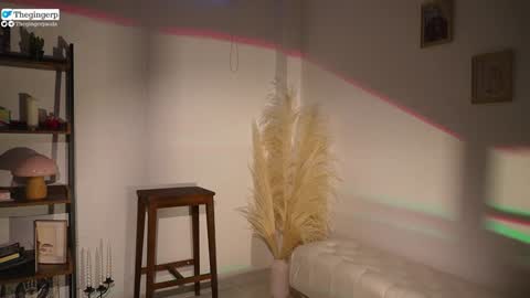 Snapshot of thegingerp chatting on 4, 2, 2025 Streaming mostly at online show from 4, 2, 2025