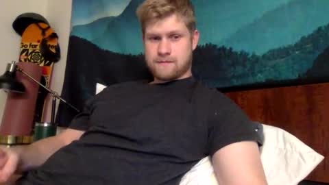 Harry online show from 17, 3, 2026