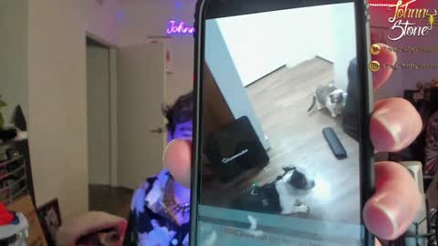 Snapshot of thejohnnystone chatting on 29, 12, 2024 Johnny Stone online show from 29, 12, 2024