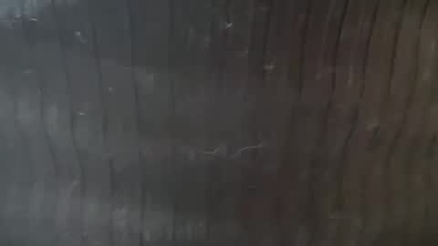 Snapshot of thematryoshka chatting on 22, 11, 2025 Lucy Lucy online show from 22, 11, 2025