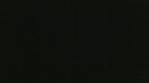 Snapshot of thenudedoodler chatting on 5, 12, 2024 JohnSilver online show from 5, 12, 2024