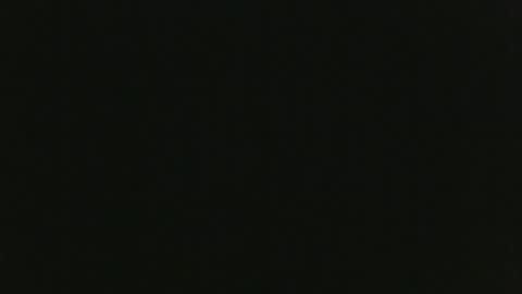 Snapshot of thenudedoodler chatting on 1, 1, 2025 JohnSilver online show from 1, 1, 2025