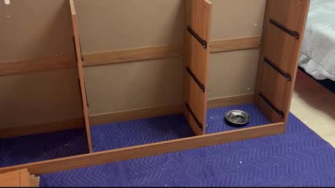 Snapshot of therealdylansdick chatting on 15, 11, 2025 therealdylansdick online show from 15, 11, 2025