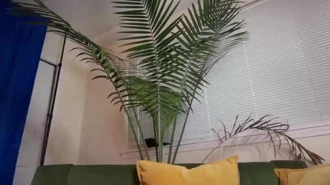 Snapshot of therealveggieboy chatting on 28, 10, 2025 Pookie online show from 28, 10, 2025