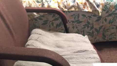 thetnguy online show from 20, 4, 2026