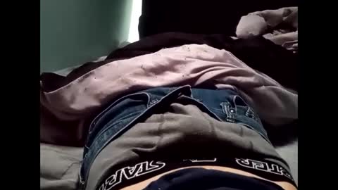 theturtleshead online show from 23, 1, 2025