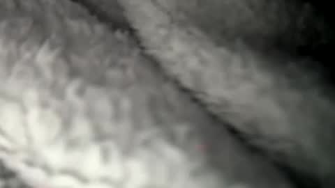 thickuncut7148704 online show from 7, 2, 2025