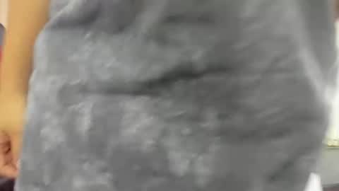 Snapshot of thomasthund chatting on 14, 1, 2026 thomasthund online show from 14, 1, 2026