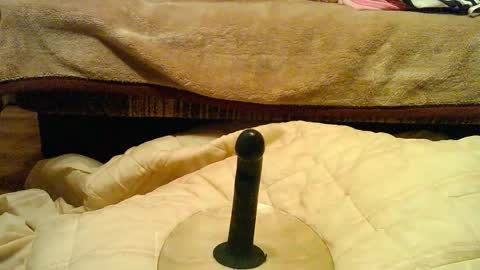 Thongsandstocking online show from 1, 12, 2025