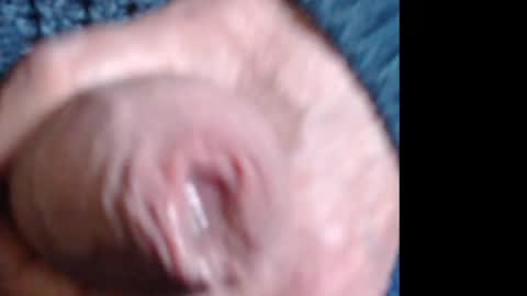 threephase323 online show from 18, 4, 2026