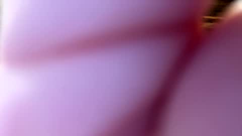 throatgoat2210 online show from 1, 12, 2025