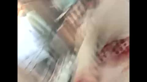 Snapshot of thunder8u42 chatting on 10, 10, 2025 thunder8u42 online show from 10, 10, 2025