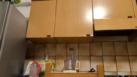 Little Wolf  online show from 10, 11, 2025