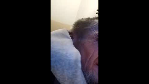 tibed1968836757 online show from 15, 2, 2026