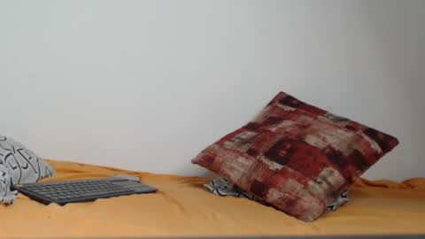 tiff online show from 23, 12, 2024