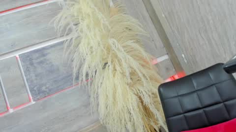 Tiffany online show from 5, 2, 2025