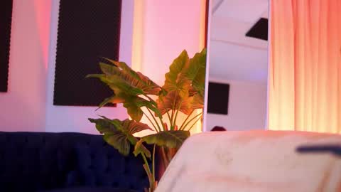 Tiff online show from 1, 3, 2026