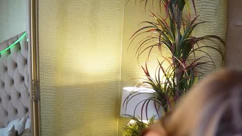  Tiffany  online show from 7, 11, 2025