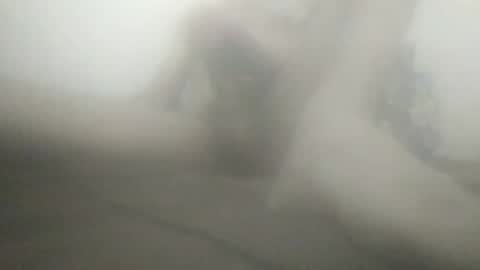 tiger005588 online show from 13, 2, 2026