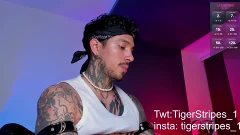 Snapshot of tigerstripes_ chatting on 11, 3, 2025 Chris online show from 11, 3, 2025